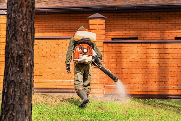 Trusted Cockroach Control service in Poncha Springs, CO - Nex Pest Control